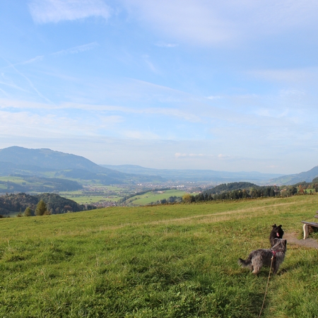 Im Allgäu (6)
